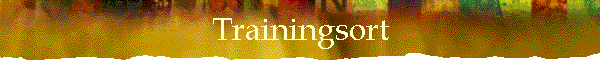 Trainingsort